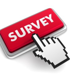 Speaking Out Survey 2021